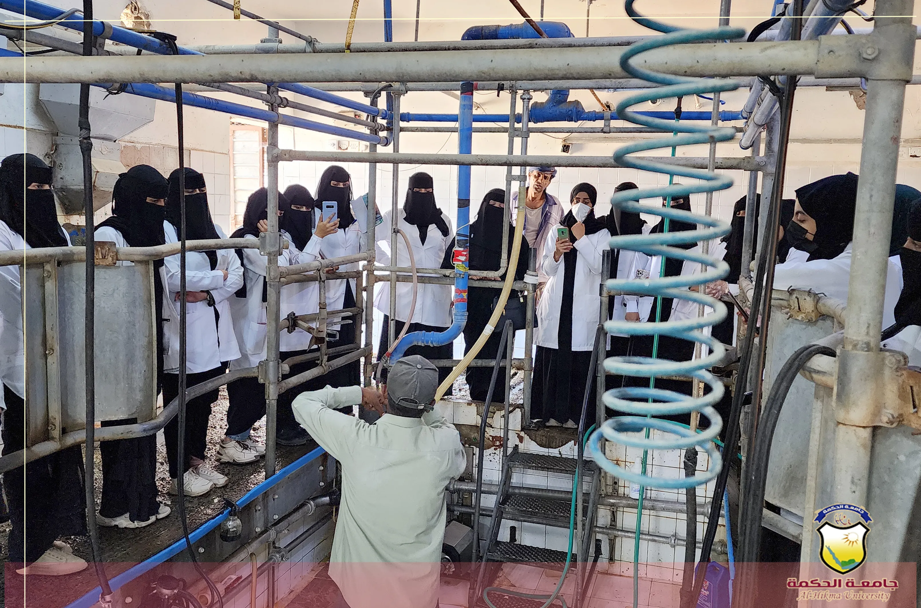 قسم المختبرات الطبية بجامعة الحكمة في زيارة ميدانية لمزرعة ألبان رصابة بمحافظة ذمار